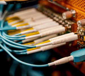 Domain & Hosting